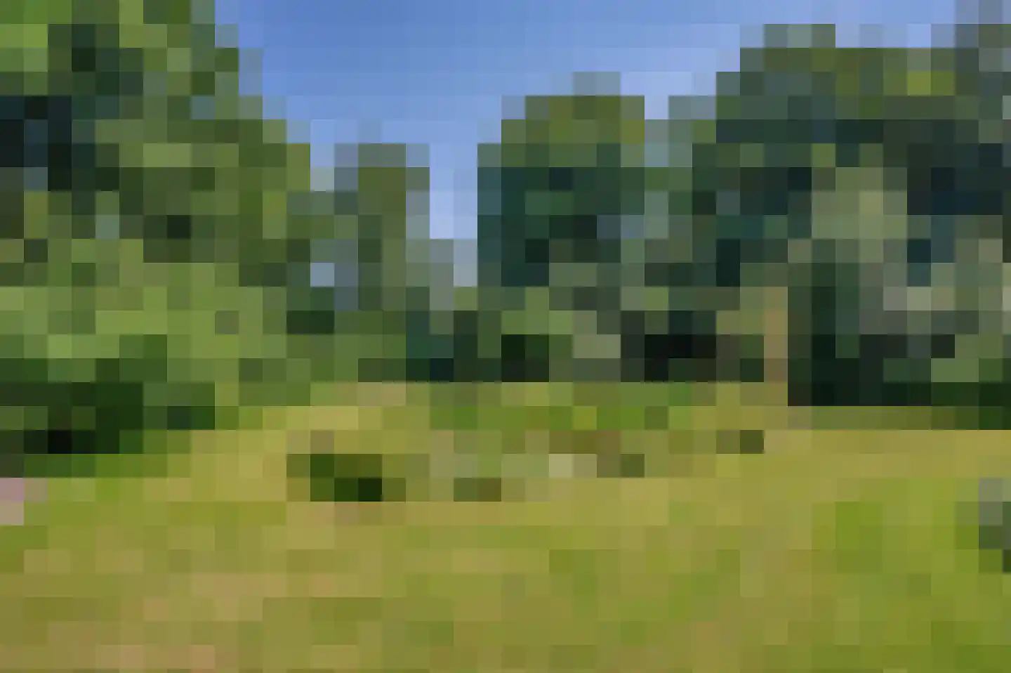 Verlengde Hoofdweg 1 Nieuw Beerta thumbnail 73