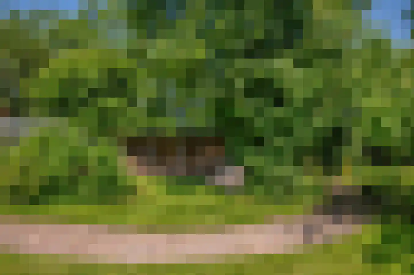 Verlengde Hoofdweg 1 Nieuw Beerta thumbnail 75