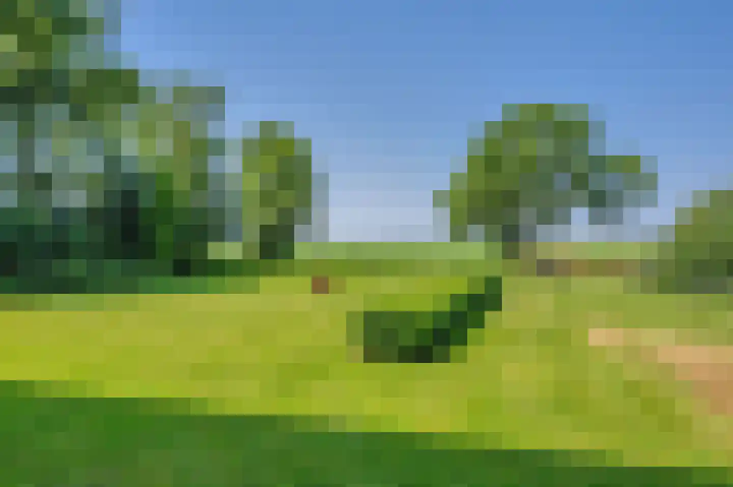 Verlengde Hoofdweg 1 Nieuw Beerta thumbnail 78