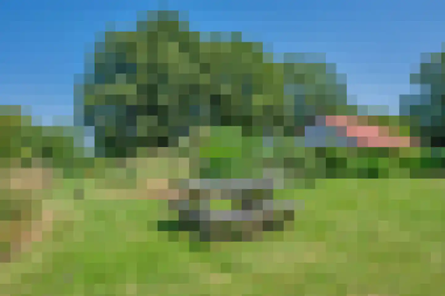 Verlengde Hoofdweg 1 Nieuw Beerta thumbnail 79