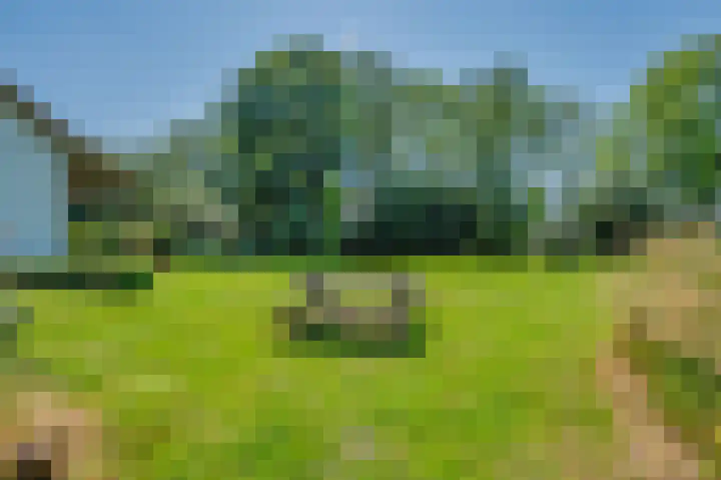Verlengde Hoofdweg 1 Nieuw Beerta thumbnail 80