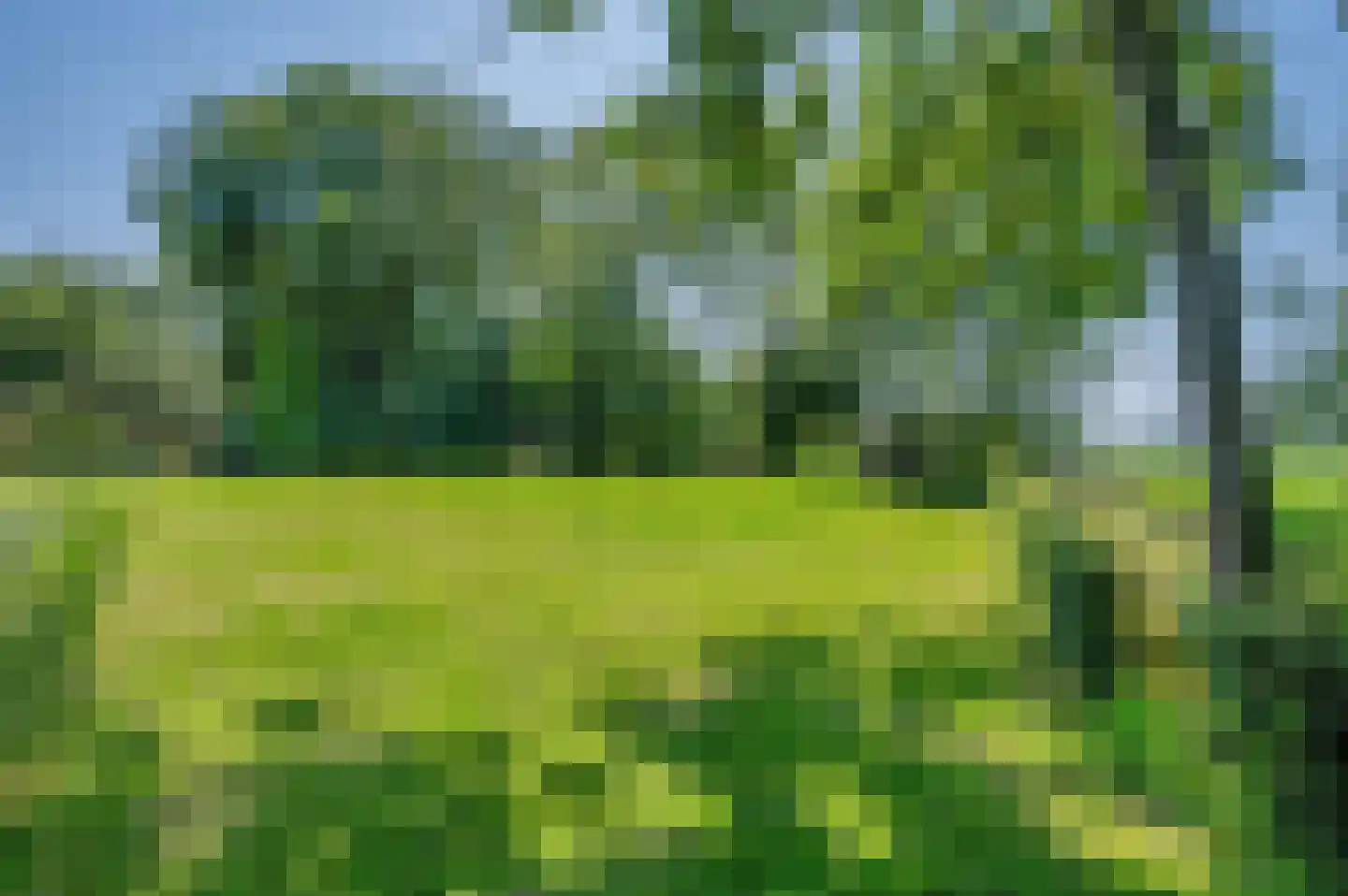 Verlengde Hoofdweg 1 Nieuw Beerta thumbnail 81