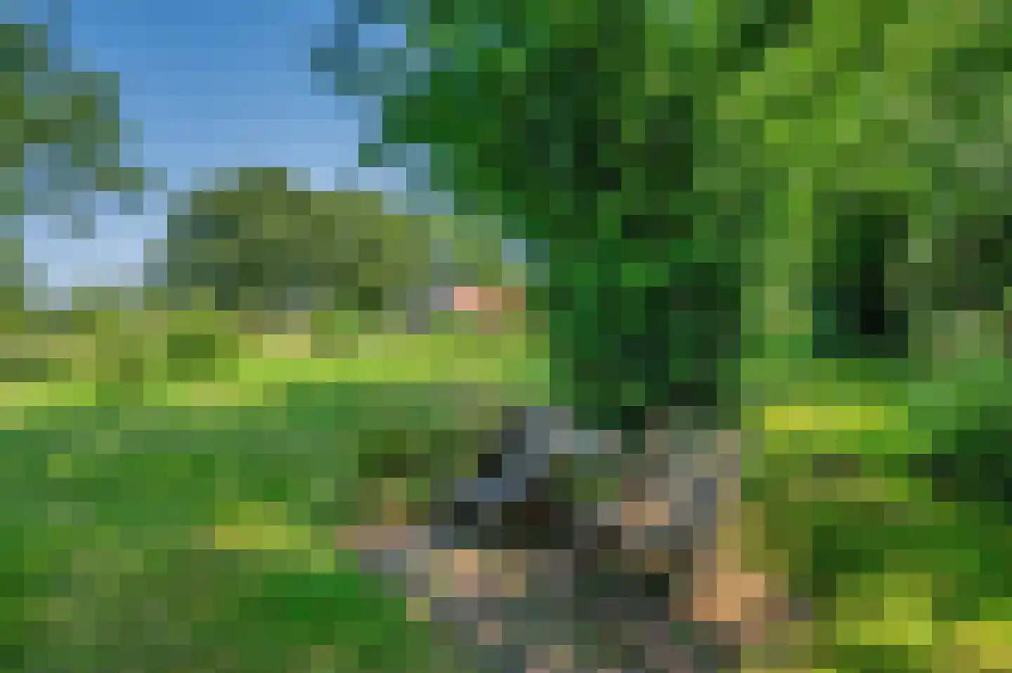 Verlengde Hoofdweg 1 Nieuw Beerta thumbnail 82