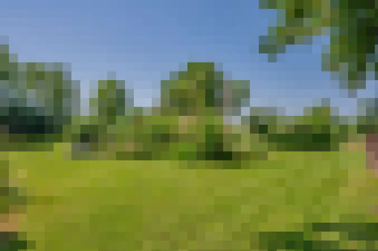 Verlengde Hoofdweg 1 Nieuw Beerta thumbnail 85