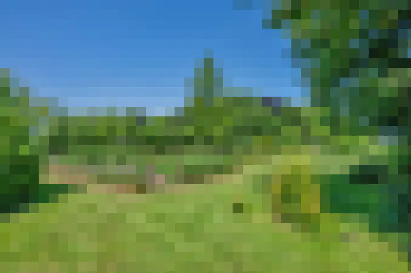 Verlengde Hoofdweg 1 Nieuw Beerta thumbnail 86