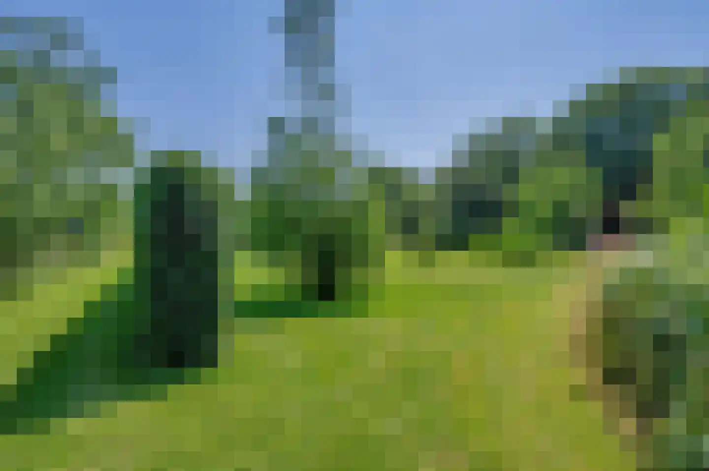 Verlengde Hoofdweg 1 Nieuw Beerta thumbnail 87