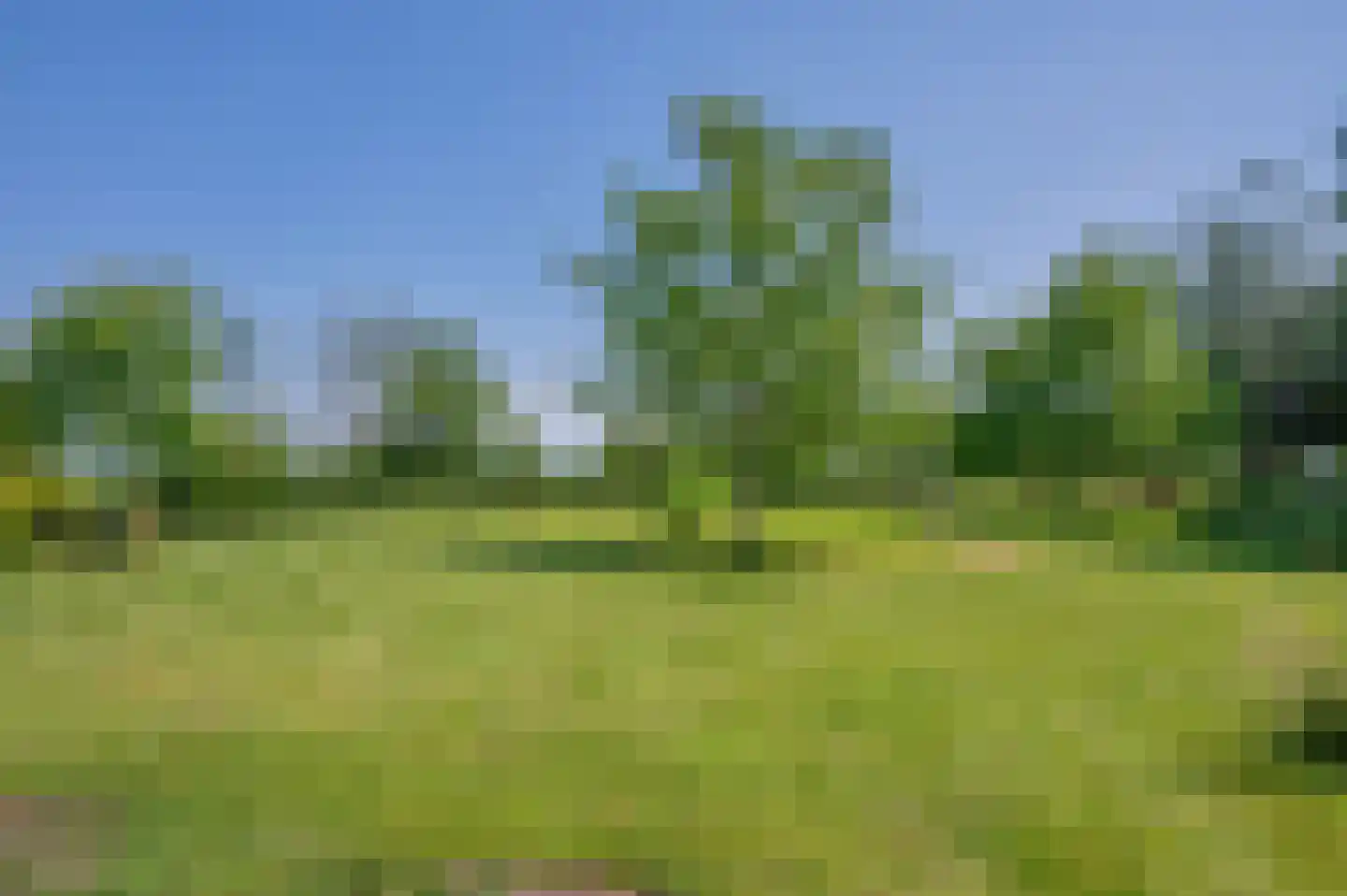 Verlengde Hoofdweg 1 Nieuw Beerta thumbnail 88