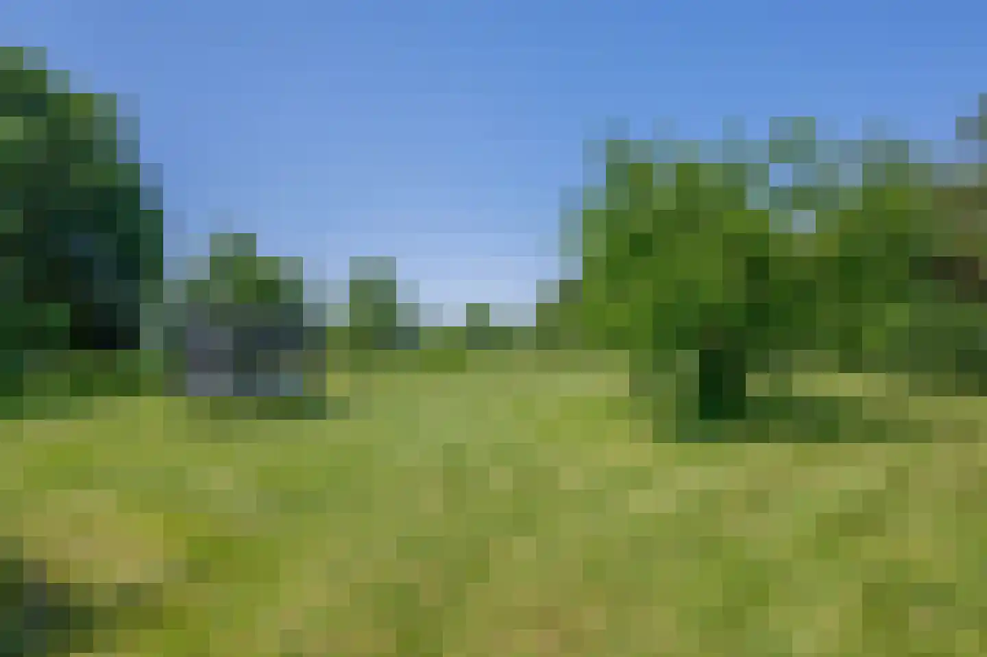 Verlengde Hoofdweg 1 Nieuw Beerta thumbnail 89
