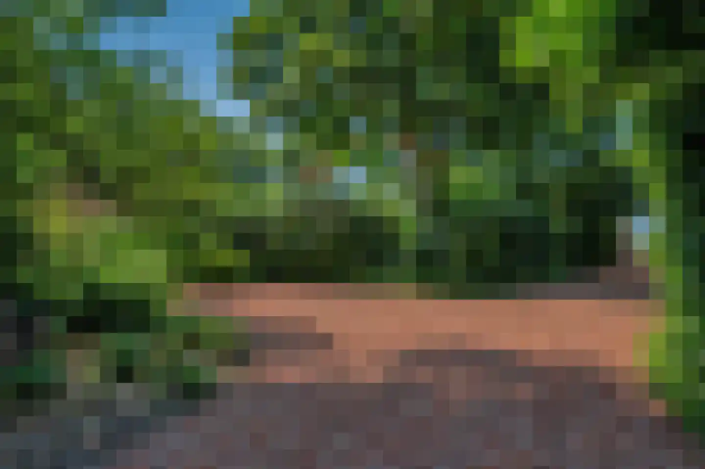Verlengde Hoofdweg 1 Nieuw Beerta thumbnail 9