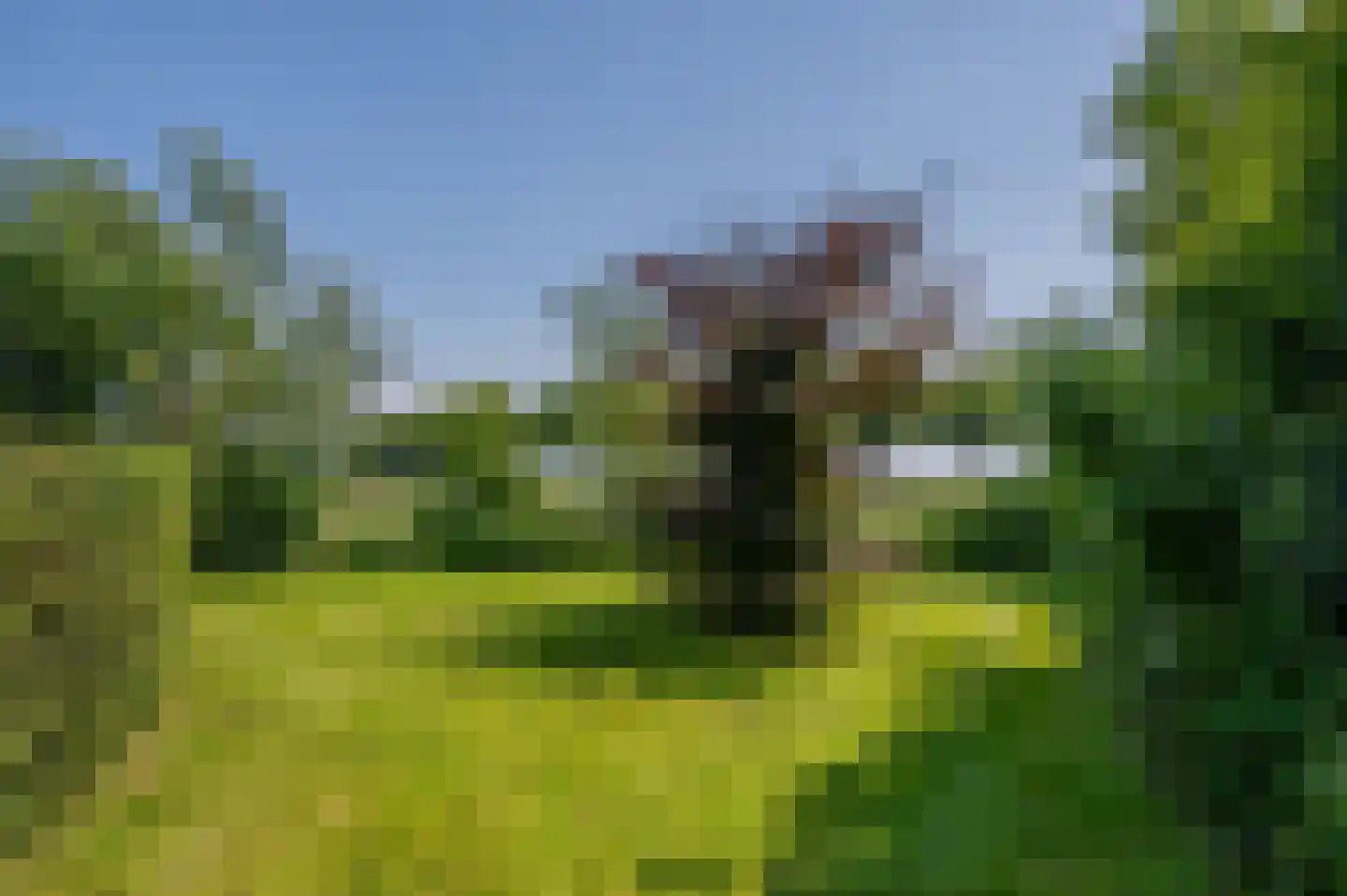 Verlengde Hoofdweg 1 Nieuw Beerta thumbnail 90