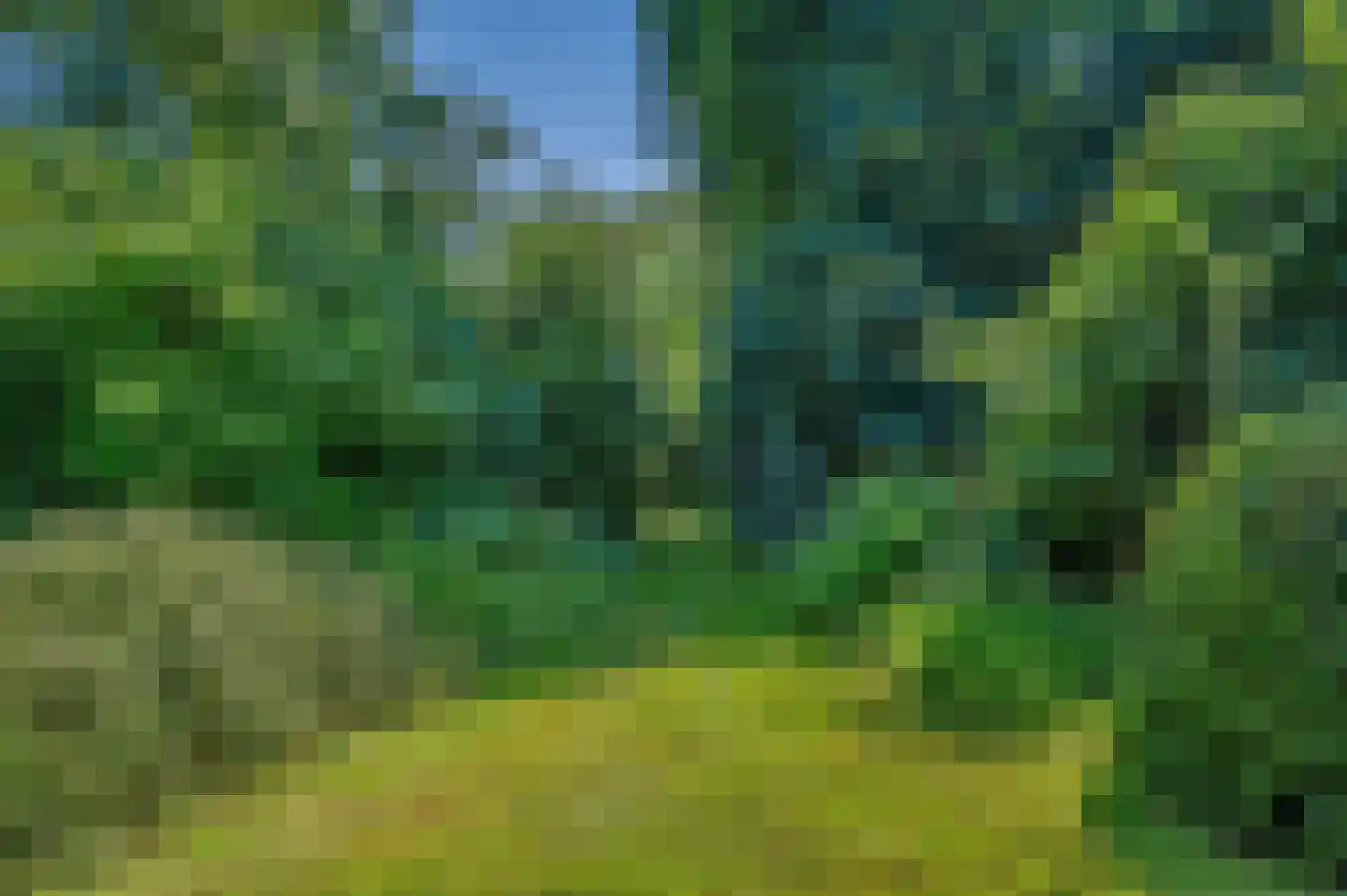 Verlengde Hoofdweg 1 Nieuw Beerta thumbnail 91