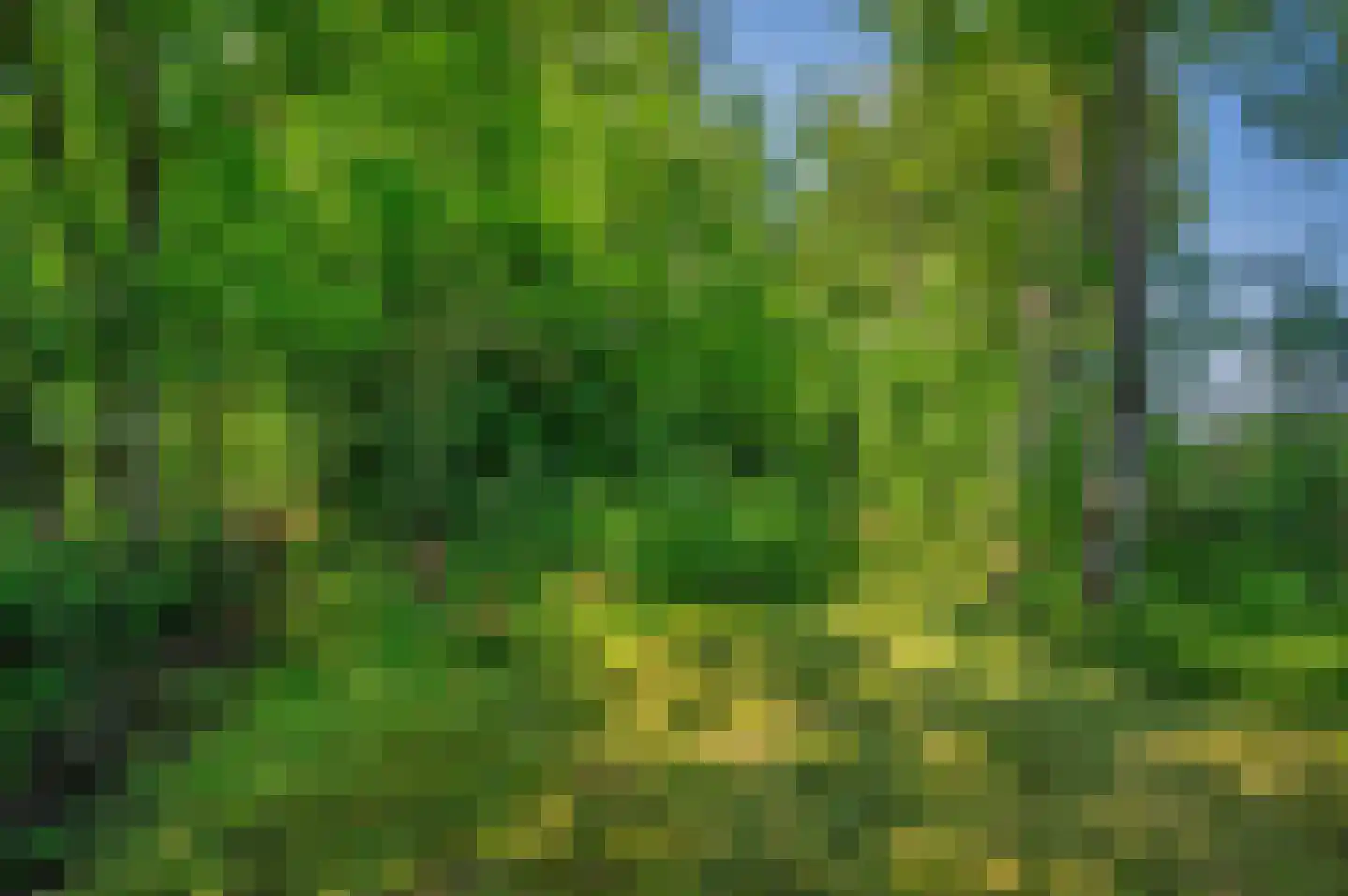 Verlengde Hoofdweg 1 Nieuw Beerta thumbnail 92