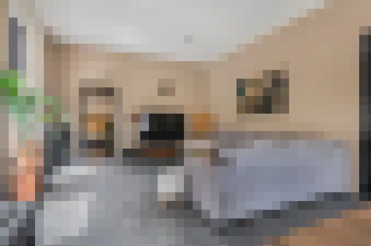 Verlengde Hoofdweg 11 Nieuw Beerta thumbnail 13