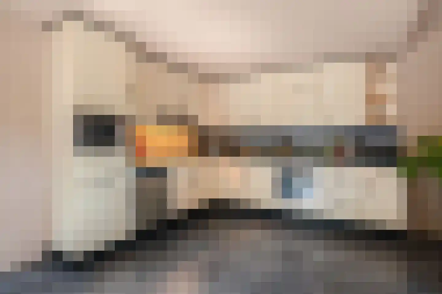 Verlengde Hoofdweg 11 Nieuw Beerta thumbnail 17