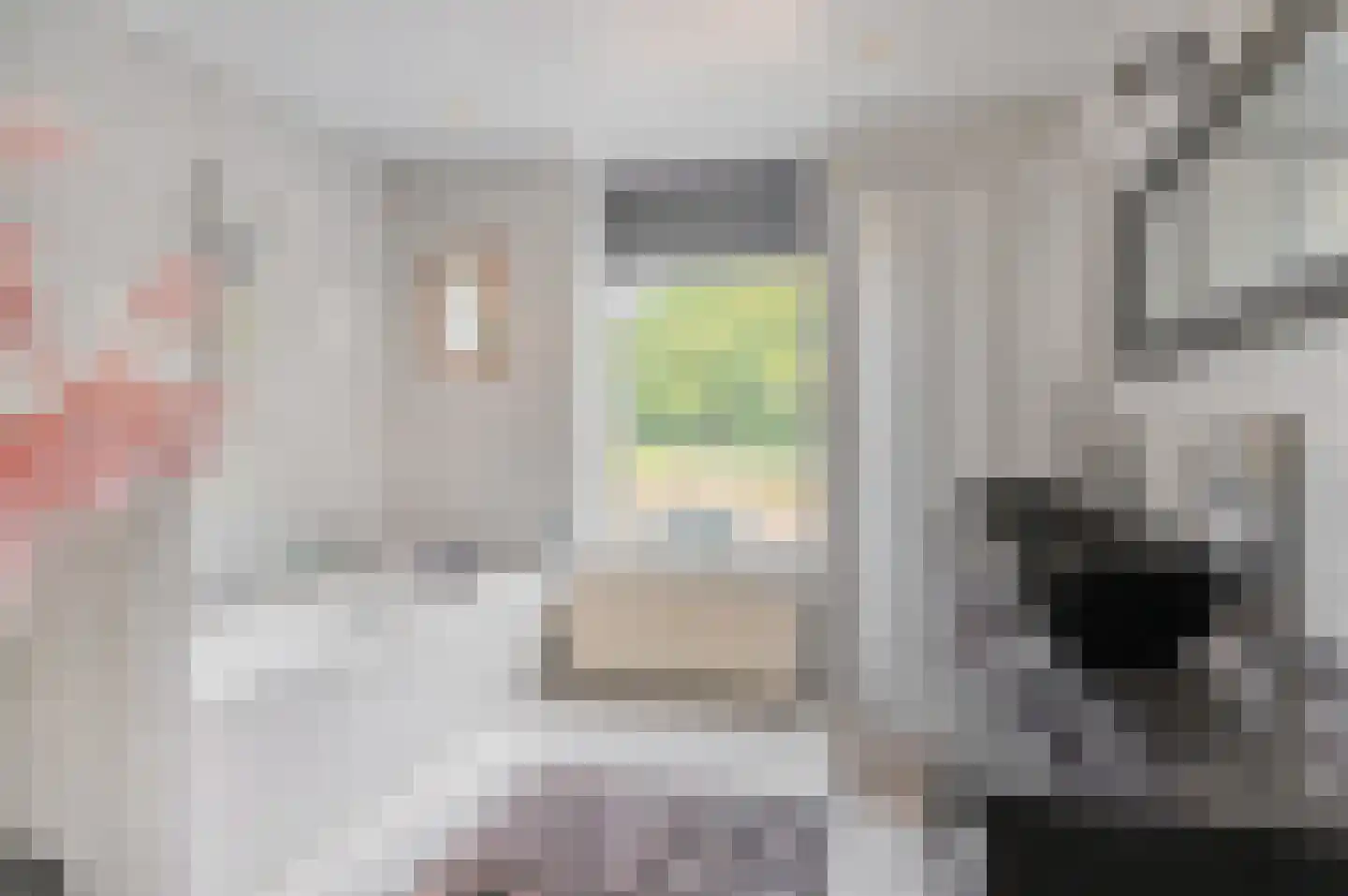 Verlengde Hoofdweg 11 Nieuw Beerta thumbnail 21