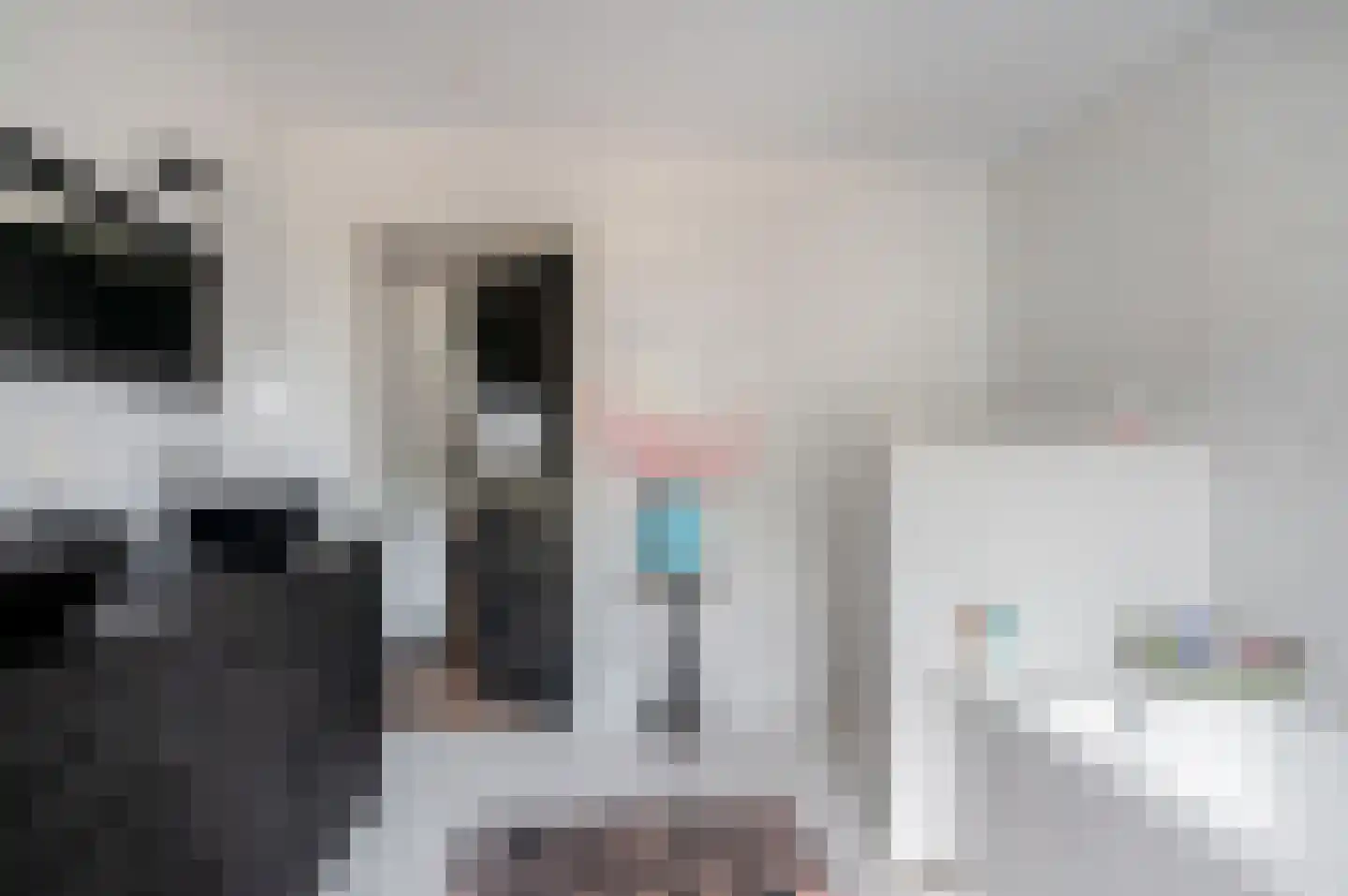 Verlengde Hoofdweg 11 Nieuw Beerta thumbnail 23