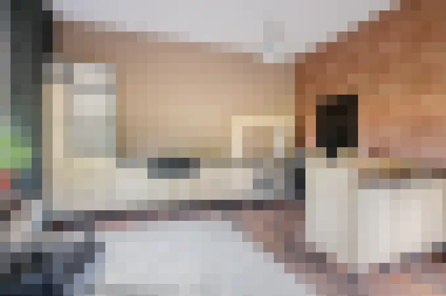 Verlengde Hoofdweg 11 Nieuw Beerta thumbnail 28