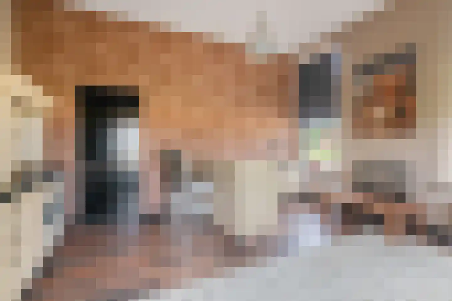 Verlengde Hoofdweg 11 Nieuw Beerta thumbnail 30