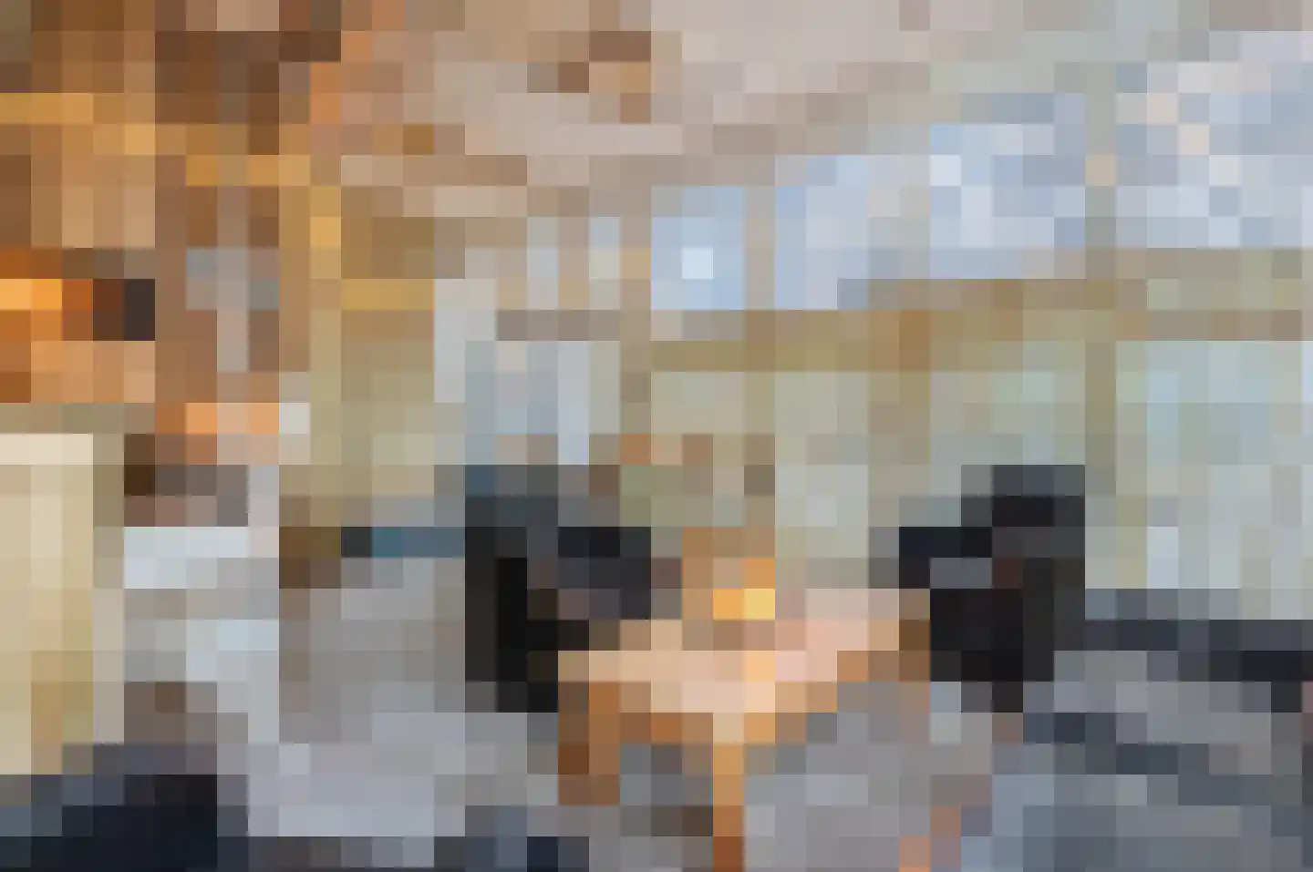 Verlengde Hoofdweg 11 Nieuw Beerta thumbnail 31