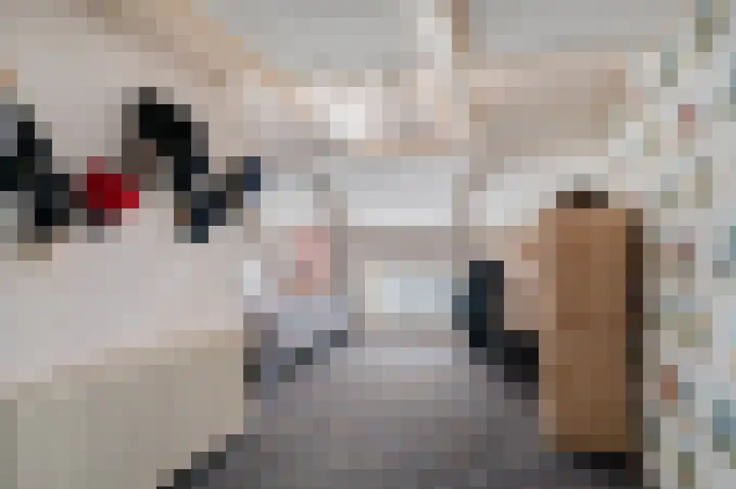 Verlengde Hoofdweg 11 Nieuw Beerta thumbnail 47