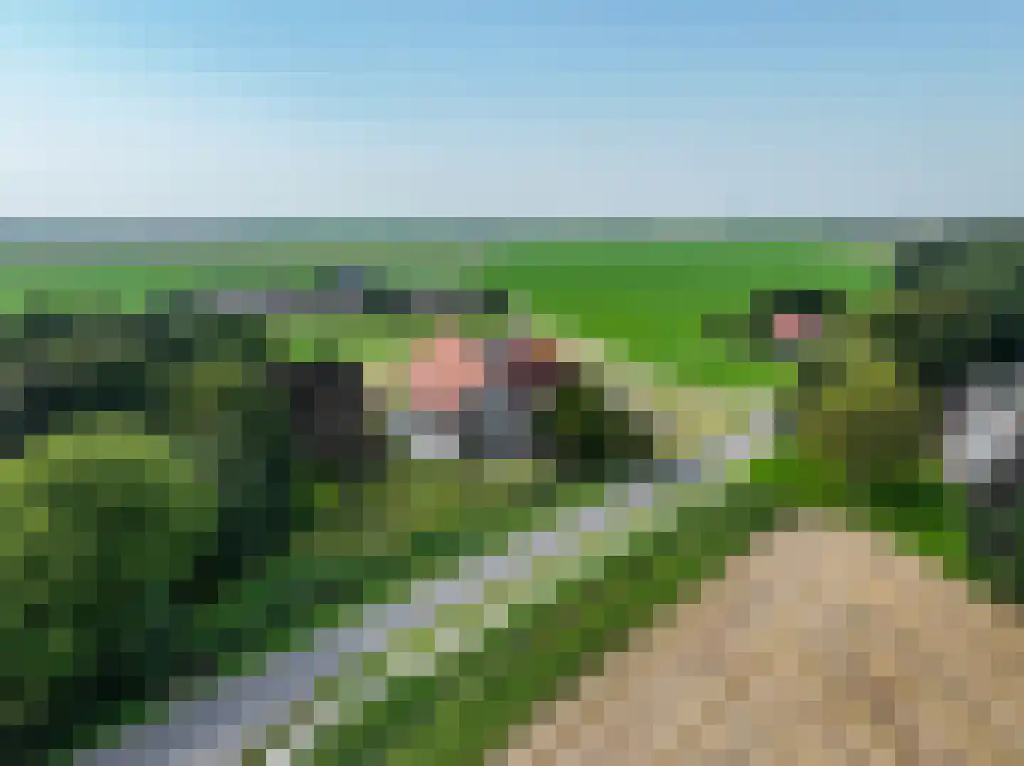 Verlengde Hoofdweg 11 Nieuw Beerta thumbnail 5