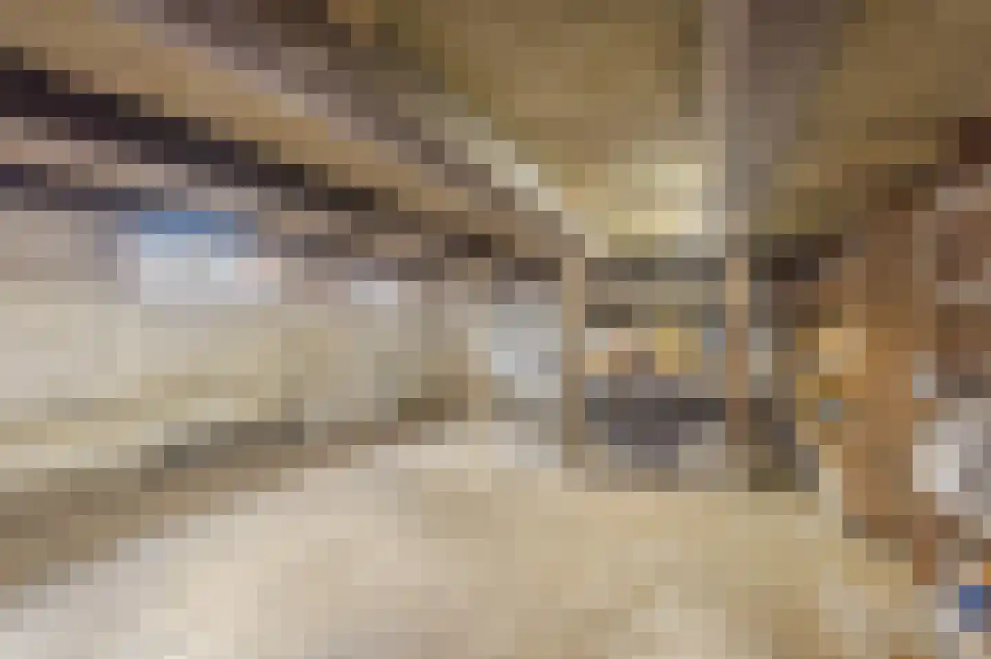 Verlengde Hoofdweg 11 Nieuw Beerta thumbnail 55
