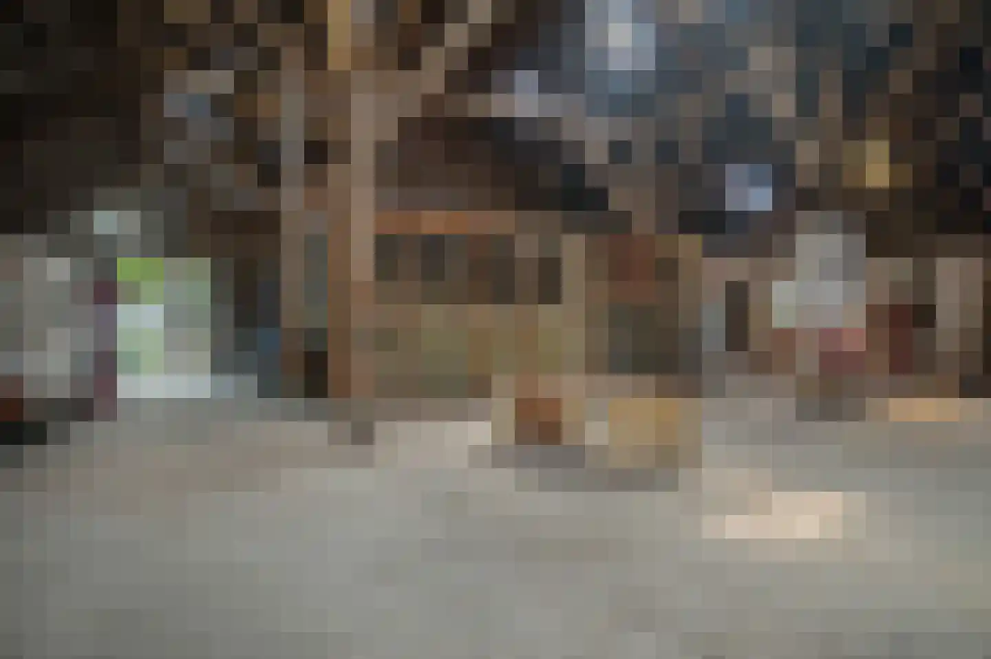 Verlengde Hoofdweg 11 Nieuw Beerta thumbnail 58