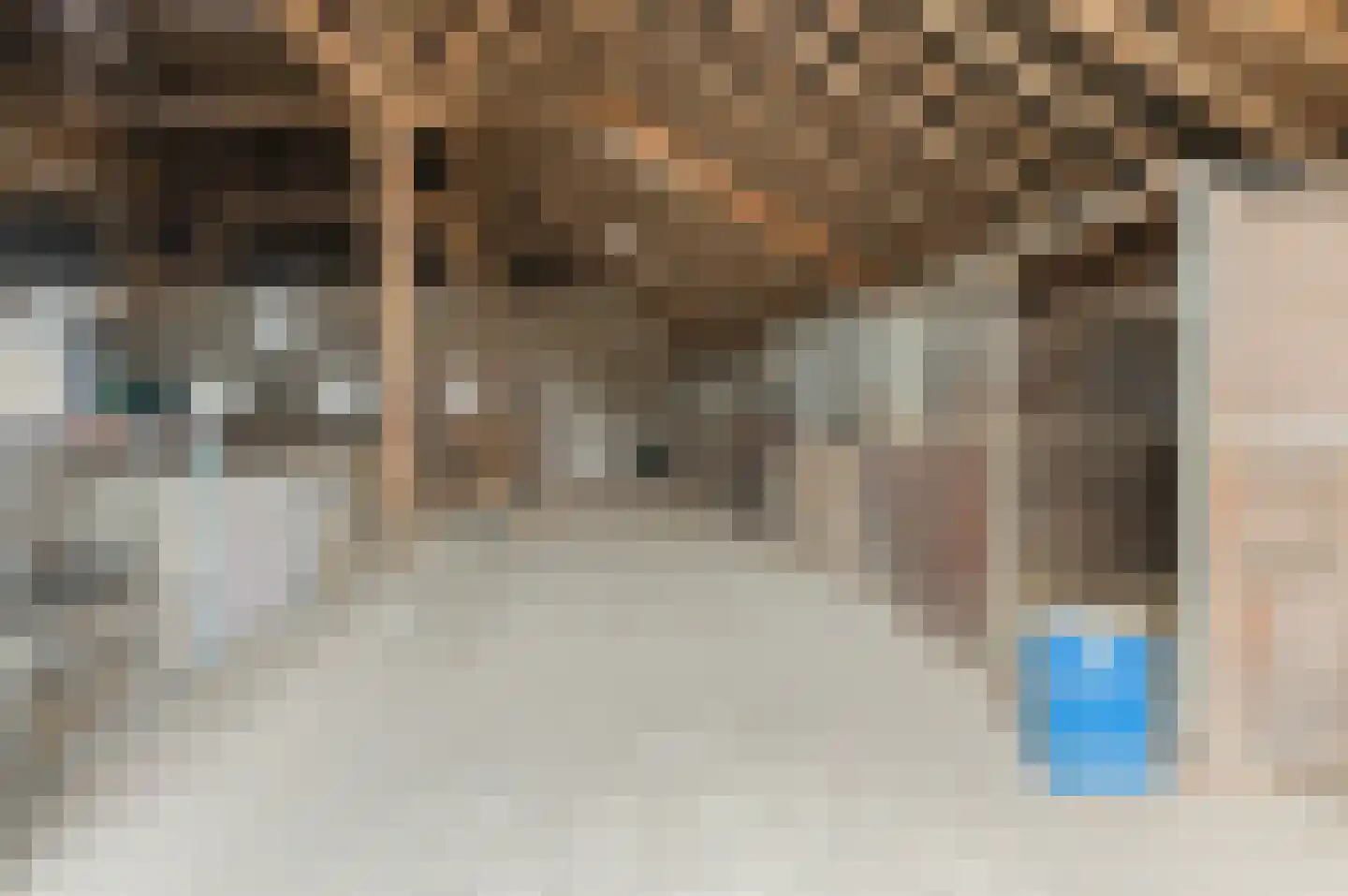Verlengde Hoofdweg 11 Nieuw Beerta thumbnail 65