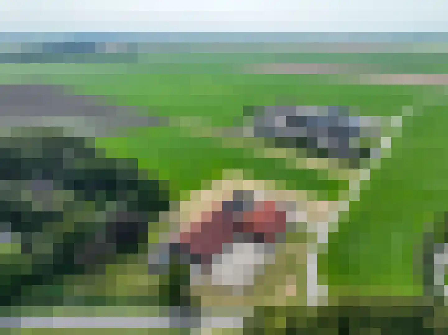 Verlengde Hoofdweg 11 Nieuw Beerta thumbnail 8