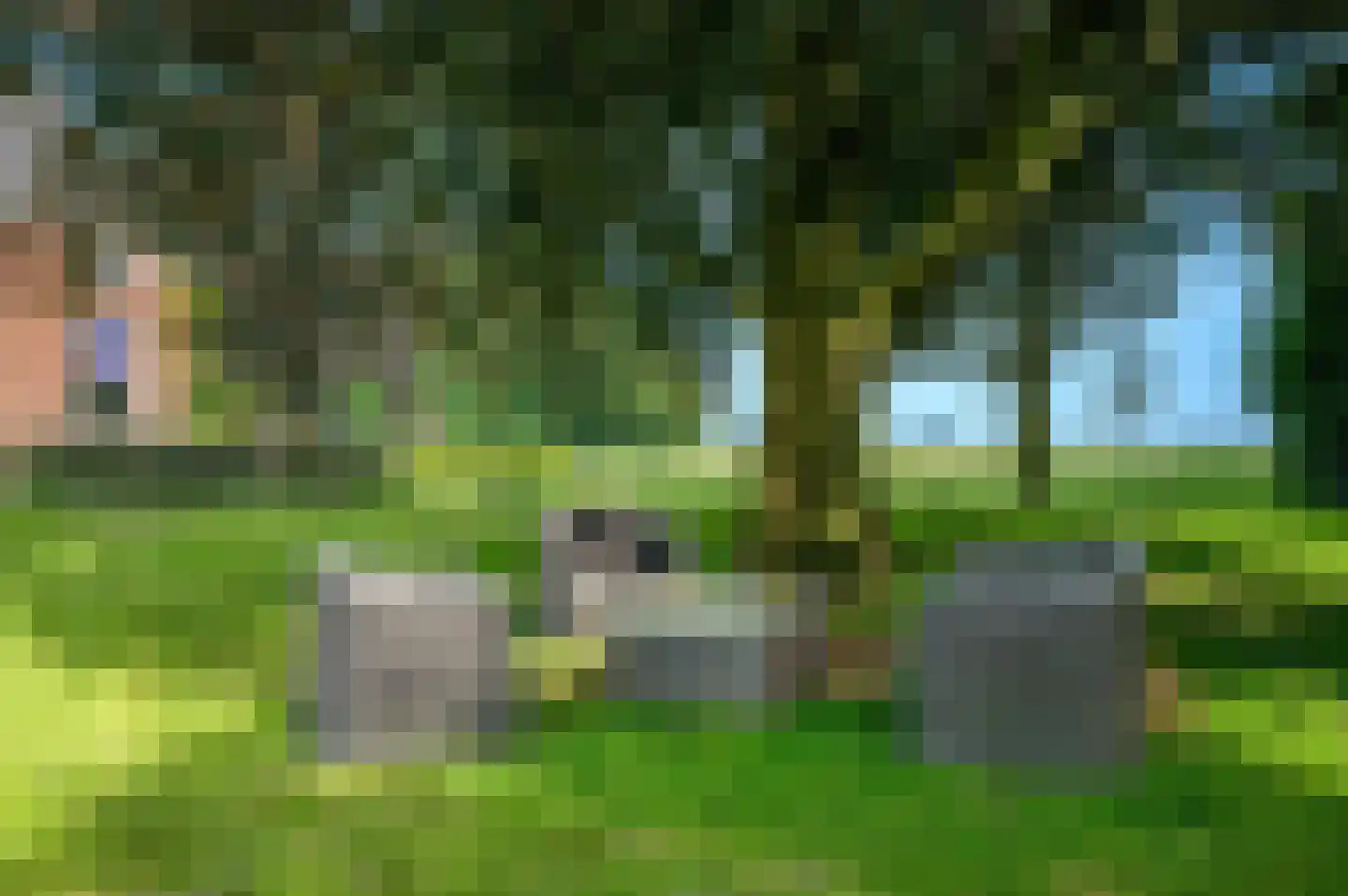 Verlengde Hoofdweg 11 Nieuw Beerta thumbnail 82