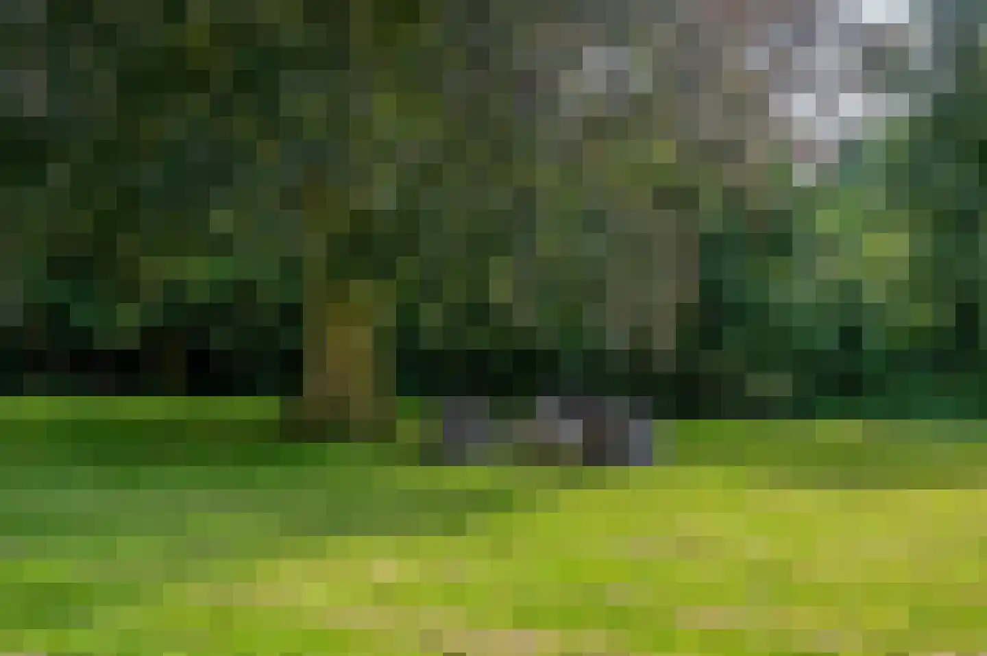 Verlengde Hoofdweg 11 Nieuw Beerta thumbnail 83