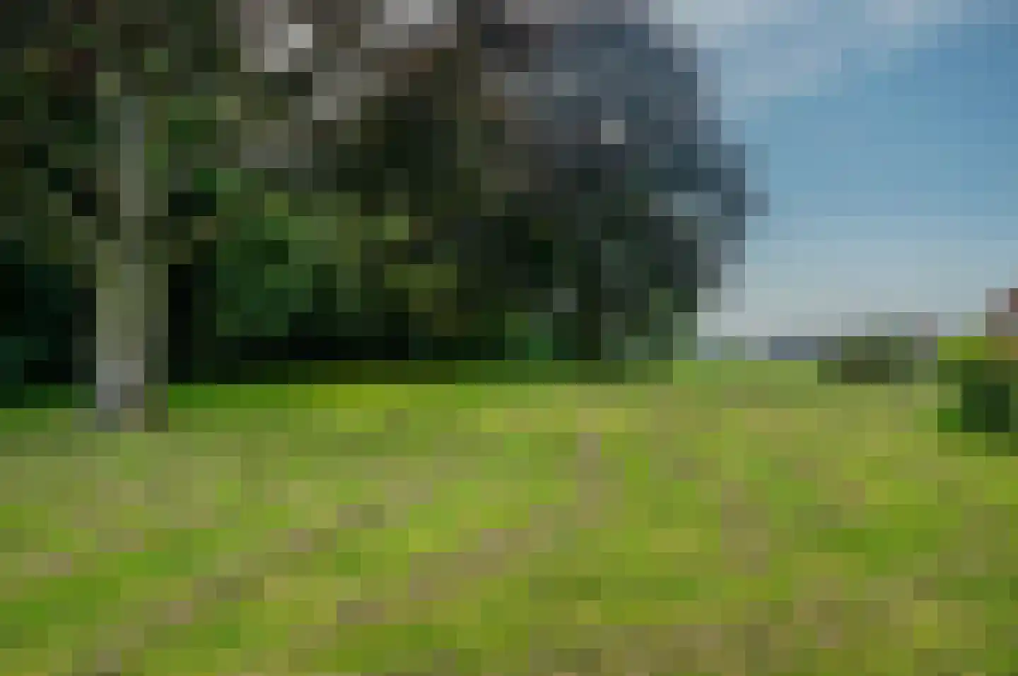 Verlengde Hoofdweg 11 Nieuw Beerta thumbnail 84