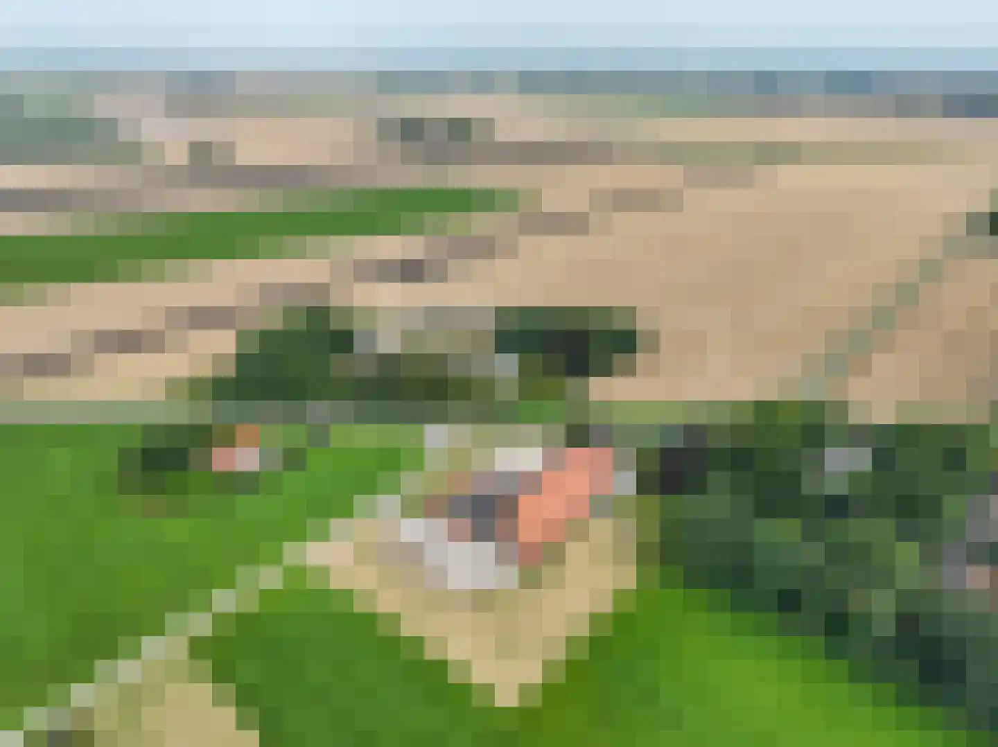 Verlengde Hoofdweg 11 Nieuw Beerta thumbnail 97