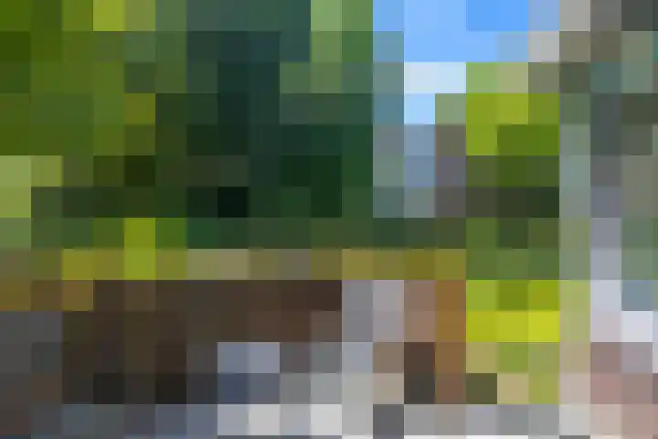 Verlengde Hoofdweg 2 Nieuw Beerta thumbnail 15