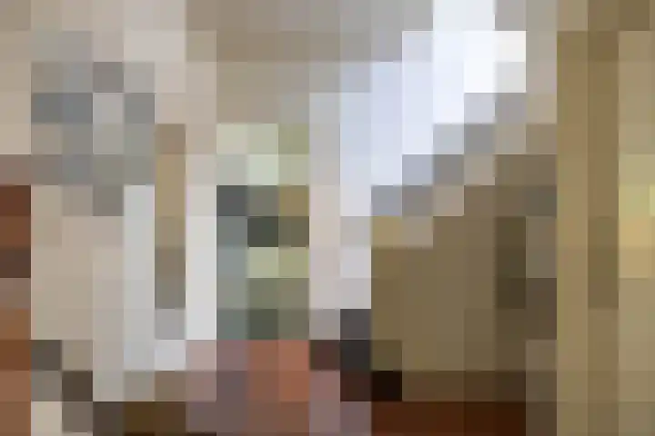 Verlengde Hoofdweg 2 Nieuw Beerta thumbnail 17