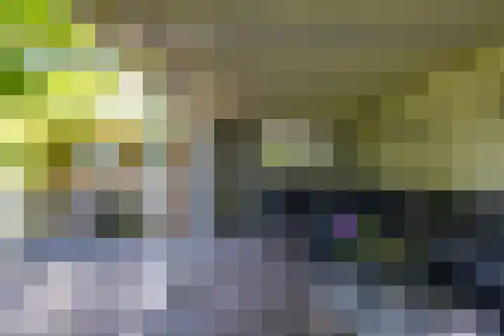 Verlengde Hoofdweg 2 Nieuw Beerta thumbnail 21