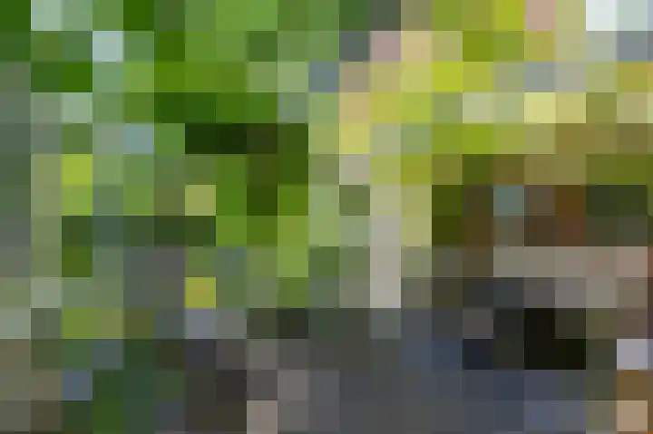 Verlengde Hoofdweg 2 Nieuw Beerta thumbnail 22