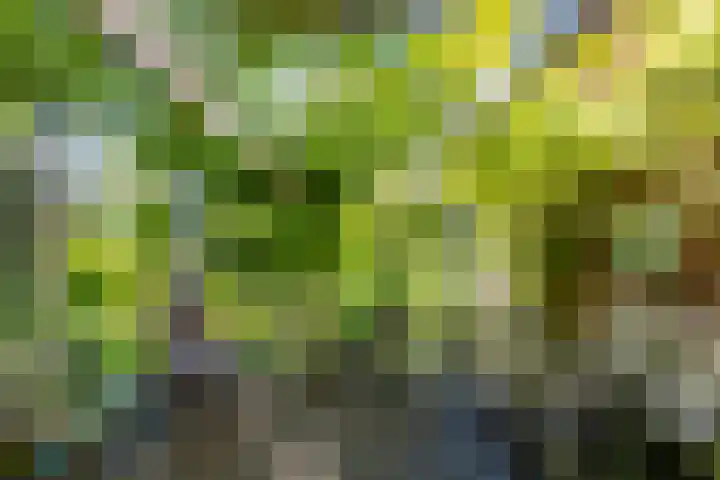 Verlengde Hoofdweg 2 Nieuw Beerta thumbnail 23