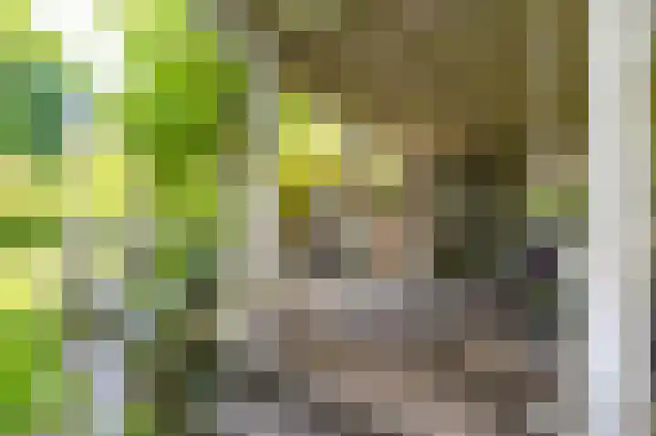 Verlengde Hoofdweg 2 Nieuw Beerta thumbnail 24