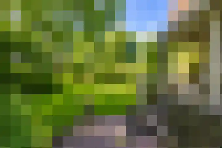 Verlengde Hoofdweg 2 Nieuw Beerta thumbnail 26