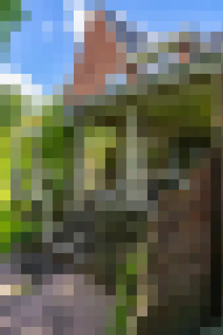 Verlengde Hoofdweg 2 Nieuw Beerta thumbnail 27