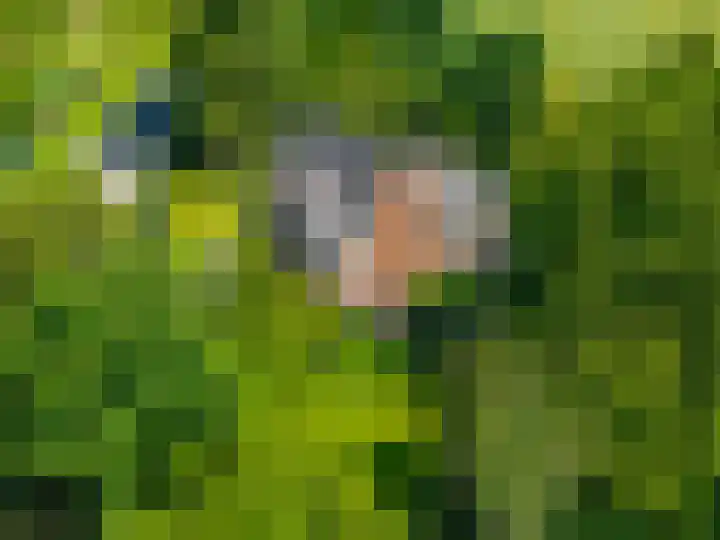 Verlengde Hoofdweg 2 Nieuw Beerta thumbnail 38