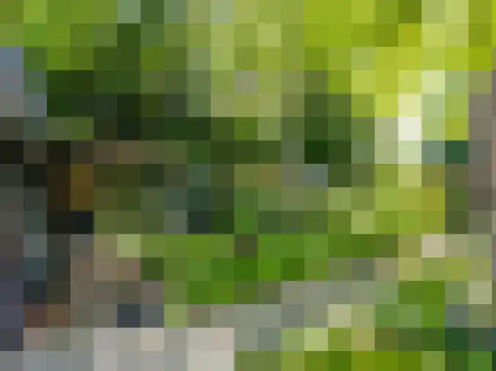 Verlengde Hoofdweg 2 Nieuw Beerta thumbnail 39