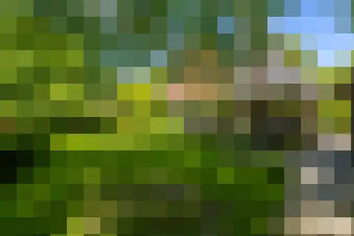 Verlengde Hoofdweg 2 Nieuw Beerta thumbnail 4