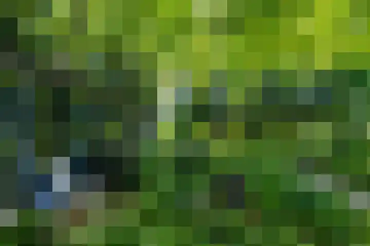 Verlengde Hoofdweg 2 Nieuw Beerta thumbnail 40