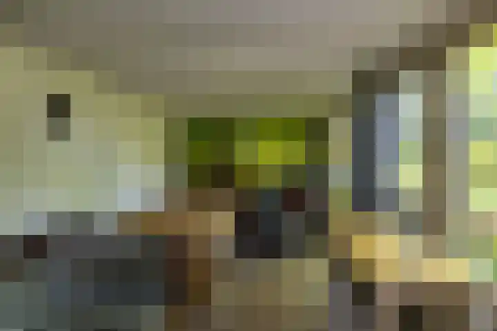 Verlengde Hoofdweg 2 Nieuw Beerta thumbnail 41