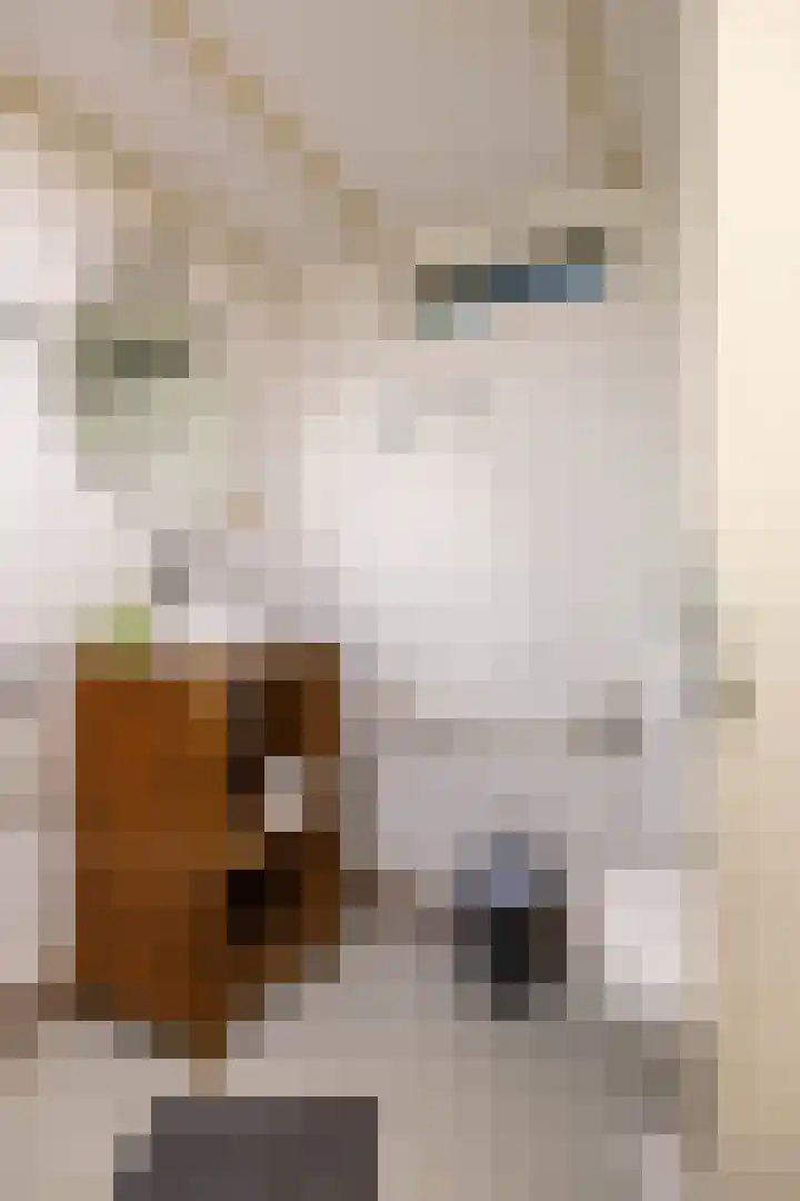 Verlengde Hoofdweg 2 Nieuw Beerta thumbnail 42
