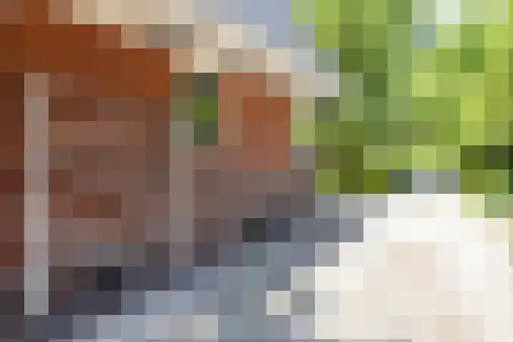 Verlengde Hoofdweg 2 Nieuw Beerta thumbnail 44