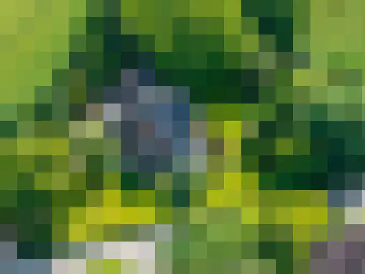 Verlengde Hoofdweg 2 Nieuw Beerta thumbnail 45