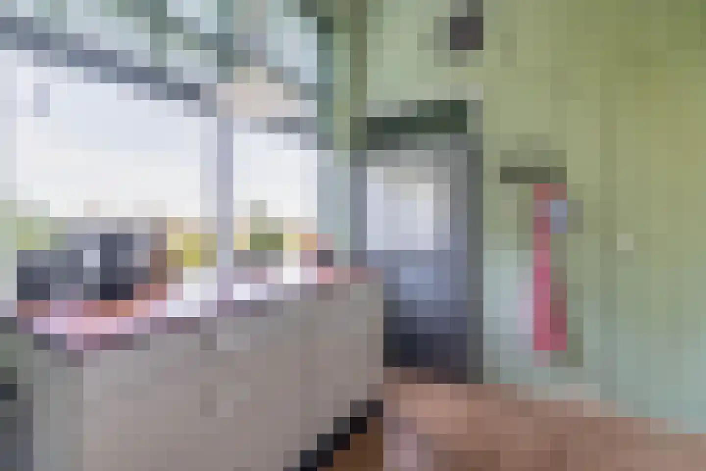 Verlengde Hoofdweg 47 Nieuw Beerta thumbnail 18